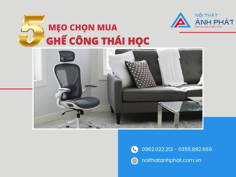 Ghế công thái học tphcm